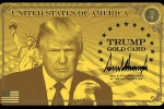 H-1B Workers latest breaking, H-1B Workers updates, all about trump s gold platinum corporate gold cards for h 1b workers, Scientists H-1B Workers latest breaking, H-1B Workers updates, all about trump s gold platinum corporate gold cards for h 1b workers, Scientists