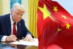 Donald Trump, Trump for Chinese students, trump opens us doors to 6 lakh chinese students, H 1b visa