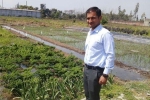 national centre of organic farming recruitment, ncof waste decomposer buy online, this u s return mba graduate is transforming a village barren land into an organic farming facility, Organic farming