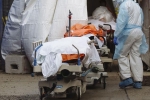 USA Coronavirus, USA Coronavirus new cases, usa coronavirus deaths reaches 9 lakhs, Indianapolis