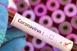 Coronavirus may never go, Cure for coronavirus, who warns covid 19 may never go away then what s the future of the world, Us federal reserve