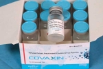 WHO on Covaxin news, Covaxin, who suspends the supply of covaxin, Covax WHO on Covaxin news, Covaxin, who suspends the supply of covaxin, Covax