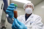 government, vaccine, when can the world expect an effective covid 19 vaccine, Anthony fauci