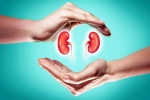 World Kidney Day 2025 tips, World Kidney Day 2025 theme, world kidney day 2025 theme and health tips, Walking
