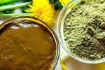 Henna helps, Henna study, how henna helps for hair growth and health, Side effects