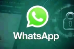 iOS Testing Multi-Account Support for WhatsApp news, iOS Testing Multi-Account Support for WhatsApp latest update, whatsapp for ios testing multi account support, Messi