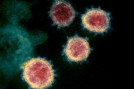 Mu variant latest, Coronavirus, one more new variant of coronavirus traced in columbia, Anthony fauci
