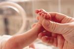 Risks for premature babies, premature birth., premature birth may up osteoporosis risk in adulthood, Adulthood