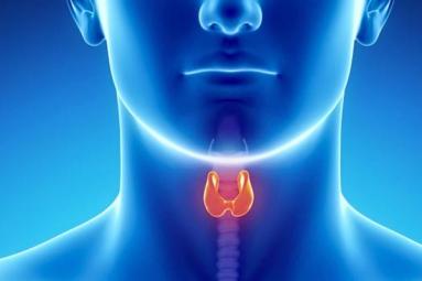 How to prevent throat cancer? How to prevent throat cancer?},{How to prevent throat cancer?