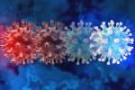 C.1.2 variant updates, C.1.2 variant updates, latest coronavirus variant evades vaccine protection, Mauritius