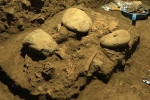 7200 year old human remains, 7200 year old human remains study, remains of a teenager who died 7200 years found, Sulawesi cave