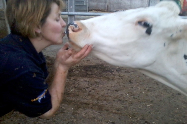 &lsquo;Cowshed Cinderella&rsquo; wins &pound;1.3million},{&lsquo;Cowshed Cinderella&rsquo; wins &pound;1.3million