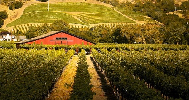 Insider&#039;s guide to Napa Valley