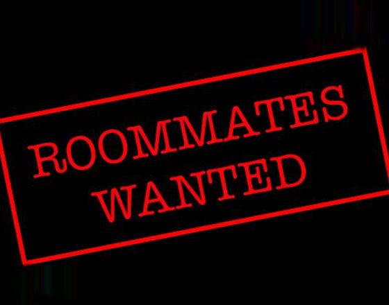 Looking for a roommate