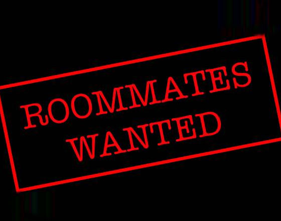 Looking for a roommate