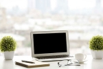 purify, ecology, a plant in your office can help in preventing sick days says experts, Toxic chemicals