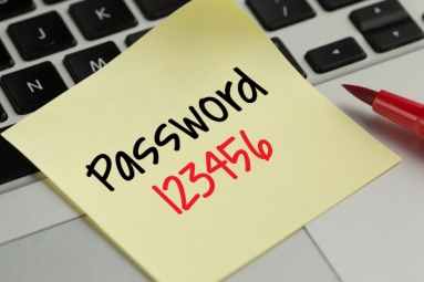 123456 most common password in 2016