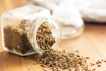 Cumin for Chicken, Cumin breaking, can cumin replace eggs and chicken for b12, Animal