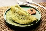 Curry Leaves Dosa latest, Curry Leaves Dosa preparation, recipe curry leaves dosa, Curry leaves dosa