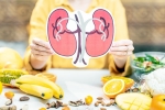 Healthy Kidneys tips, Healthy Kidneys breaking, food items to include in your diet for healthy kidneys, Heart health