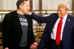 Donald Trump, Donald Trump latest updates, donald trump s praise for musk s starlink, Helen