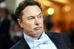 Elon Musk India visit news, Elon Musk, elon musk s india visit delayed, Tesla