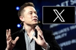 X subscription paid news, X subscription paid, elon musk announces that x would be paid for everyone, Revenue