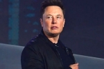 Elon Musk breaking news, Elon Musk latest, elon musk talks about cage fight again, Revenue
