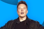 Elon Musk for twitter employees, Elon Musk breaking news, elon musk s new ultimatum to twitter staffers, Tesla