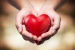 heart diseases, know your heart, what you know about heart, Facts about heart