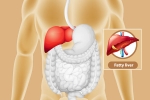 Fatty Liver symptoms, Fatty Liver care, dangers of fatty liver, Maharashtra
