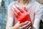 Foods for Inflammation fight, Foods for Inflammation breaking, magical indian superfoods to fight inflammation, Animal