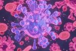 HMPV Virus cases, HMPV Virus, first hmpv virus case detected in india s bengaluru, Respiratory disease