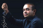 central bureau of investigation, Indians abroad, over 20 indians living abroad facing cbi probe for financial irregularities, Nirav modi