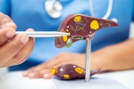 Liver Health factors, Liver Health latest, factors that worsens your liver health, Physical activity