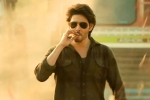 Mahesh Babu, Guntur Kaaram shoot, major changed for mahesh babu s guntur kaaram, Pooja hegde