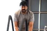 Chiranjeevi gym, Chiranjeevi breaking news, megastar chiranjeevi is back to work, Anushka
