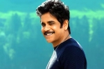Nagarjuna and Rashmika Mandanna news, Nagarjuna and Rashmika Mandanna, nagarjuna s surprise in dhanush s film, Dhanush