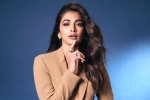 Pooja Hegde remuneration, Pooja Hegde remuneration, pooja hegde lines up bollywood films, Pooja hegde