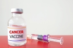 Russia Cancer Vaccine latest, Russia Cancer Vaccine breaking, russia claims cancer vaccine discovery oncologists sceptical, Scientist