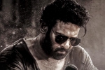 Salaar 2 shoot, Prabhas, new update from salaar 2, Shruti haasan