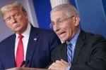 covid-19, restrictions, us could start reopening in may anthony fauci, Andrew cuomo