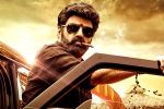 Balakrishna, Veera Simha Reddy collections, veera simha reddy sankranthi weekend collections, Veera simha reddy