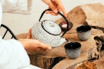 Wellness Tea, Wellness Tea, can wellness tea help with weight loss and belly fat, Antioxidants