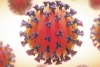 Coronavirus is not Related to Respiratory System Says Study
