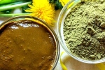 Henna latest, Henna benefits, how henna helps for hair growth and health, Hair dye